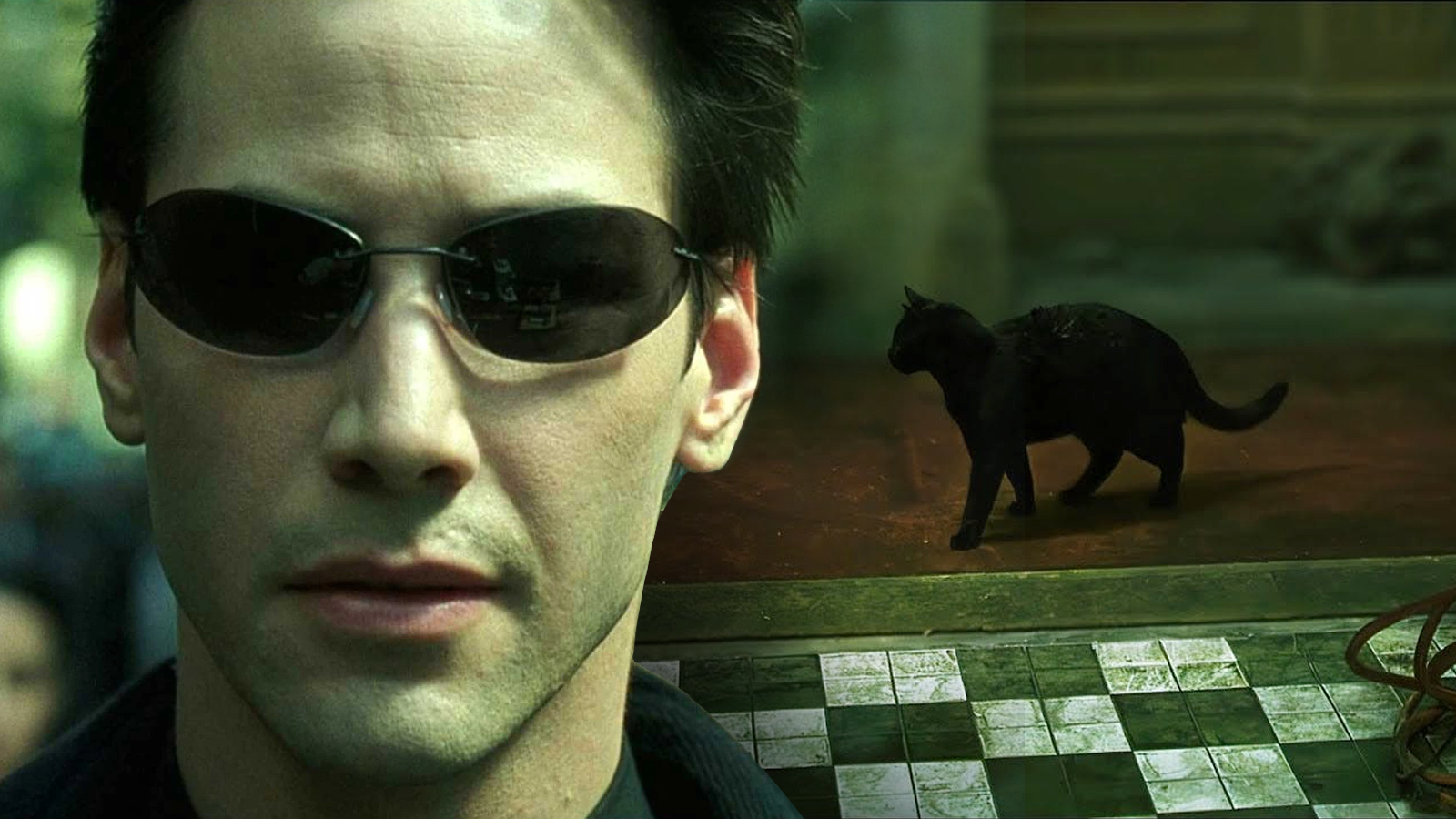 Cena de Matrix com Neo vendo um gato duas vezes, simbolizando a falha na Matrix e o despertar